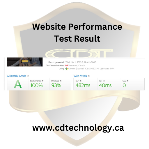 Website Performance Is 100%